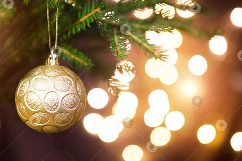 Скачать Золотой рождественский шар на живой ветке ели с золотыми огнями гирлянд в расфокусировке. Новый год, Рождество, праздничный фон, боке, пространство для копирования фотосток Ozero