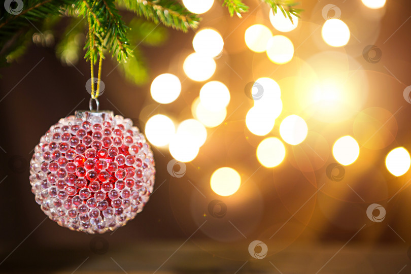 Скачать Красный с ледяными пупырышками рождественский шар на живой ветке ели с золотыми огнями гирлянд в расфокусировке. Новый год, Рождество, праздничный фон, боке, пространство для копирования фотосток Ozero