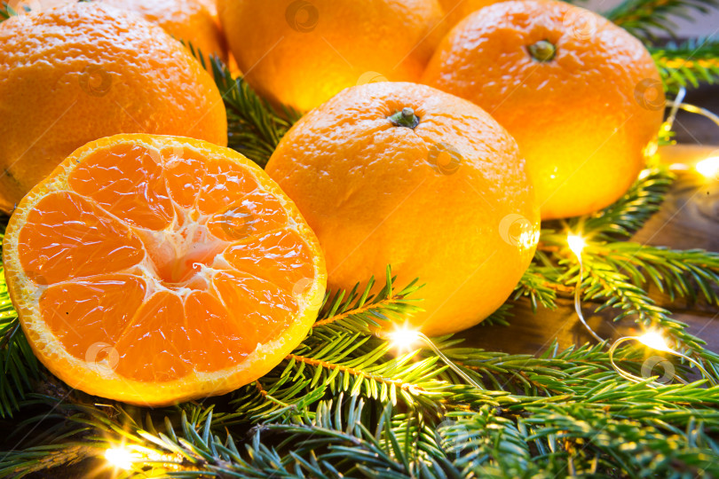 Скачать Свежие мандарины в гирляндах, на еловых ветках и мишуре - яркий новогодний фон. Половинка апельсина, цитрусовый аромат праздника. Рождество, Новый год. Место для текста. фотосток Ozero