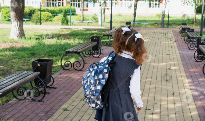 Скачать Ученик с рюкзаком и в школьной форме на школьном дворе спиной к кадру. Возвращаюсь в школу, 1 сентября. Счастливый студент. Начальное образование, начальный класс. Дорога к жизни, к знаниям фотосток Ozero