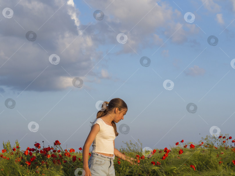 Скачать Счастливая девушка в повседневной одежде прогуливается по пшеничному полю с цветущими дикими красными маками и наслаждается теплым днем. Здоровый образ жизни, сцена из реальной жизни. Девочка-подросток на весеннем поле с красными маками фотосток Ozero