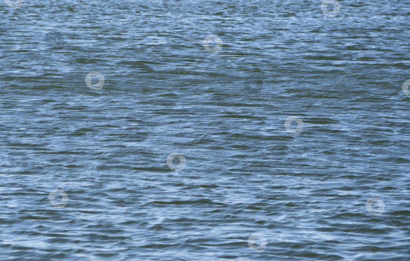 Скачать Естественный фон. Голубоватая водная гладь с небольшими волнами. фотосток Ozero
