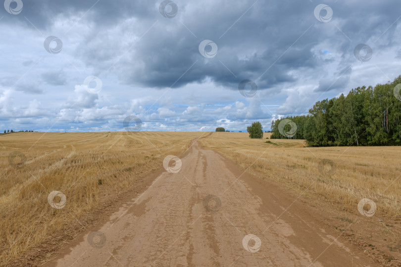 Скачать Дорога в поле, пасмурное небо фотосток Ozero