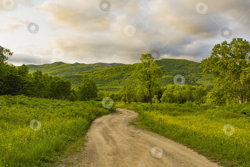 Скачать Дорога фотосток Ozero