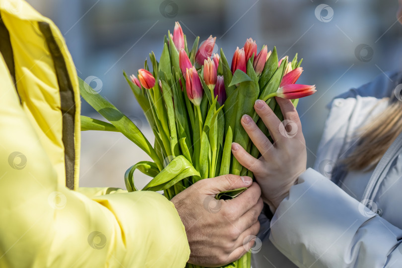 Скачать Молодая влюбленная пара на улице, держащая в руках цветы в романтический момент. Мужчина дарит красные тюльпаны блондинке.Концепция весеннего праздника - 8 марта, Пасха, Женский день фотосток Ozero