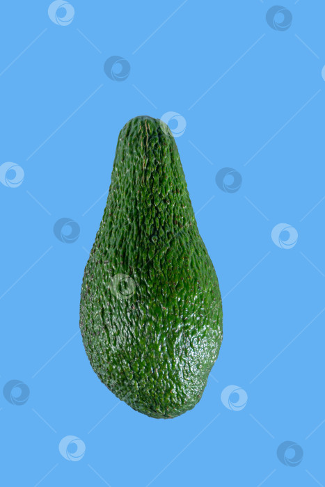 Скачать свежий авокадо, выделенный на синем фоне фотосток Ozero