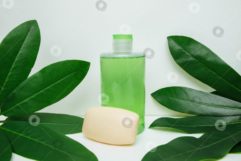 Скачать Косметический тоник в пластиковой бутылке и мыло на белом фоне с зелеными листьями крупным планом с пустым пространством фотосток Ozero