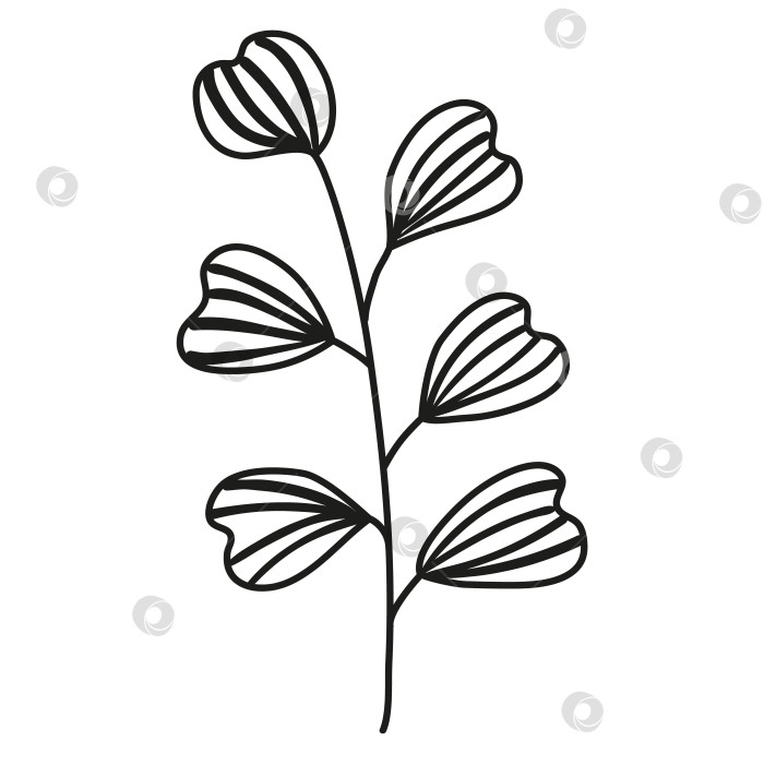 Скачать Изолированная нарисованная от руки простая ветка с полосатыми листьями. Плоская векторная иллюстрация на белом фоне. фотосток Ozero