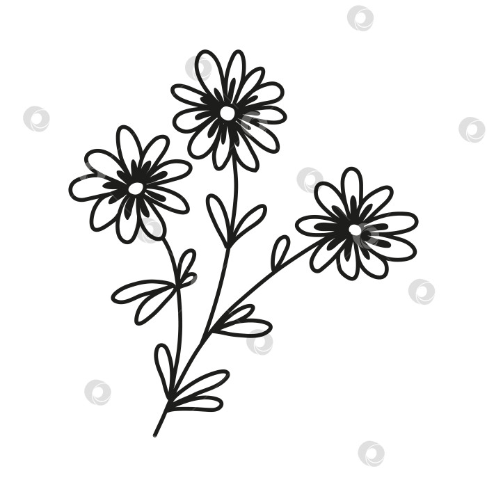 Скачать Изолированная нарисованная от руки каракулями ветка с тремя цветами и листьями. Плоская векторная иллюстрация на белом фоне. фотосток Ozero