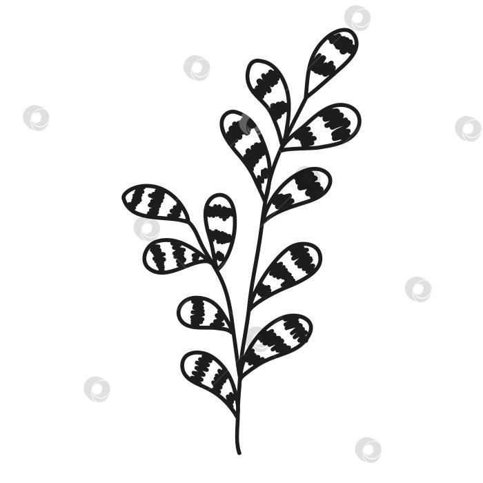 Скачать Изолированная нарисованная от руки ветка каракуля с пятнистыми листьями. Плоская векторная иллюстрация на белом фоне. фотосток Ozero