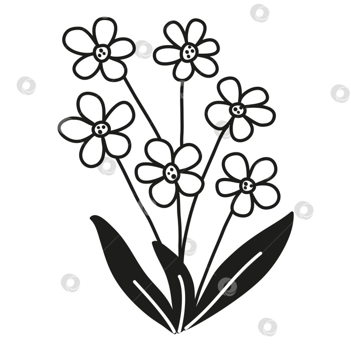 Скачать Изолированная линия каракулей, нарисованная от руки, простые белые цветы с черными листьями. Плоская векторная иллюстрация на белом фоне. фотосток Ozero