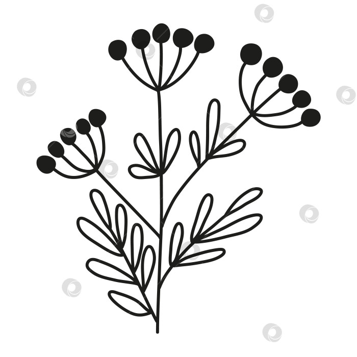 Скачать Изолированная линия каракулей, нарисованная от руки, простой абстрактный цветок. Плоская векторная иллюстрация на белом фоне. фотосток Ozero