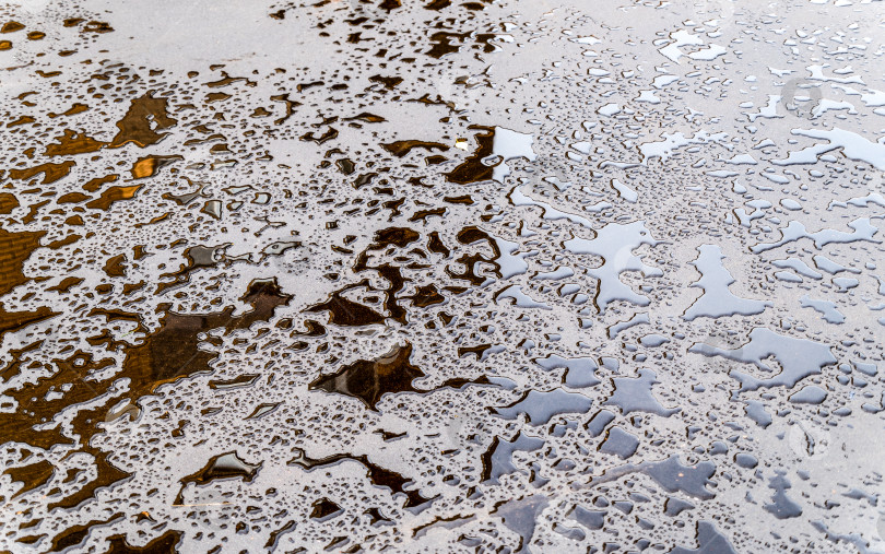 Скачать Капли воды на асфальте фотосток Ozero