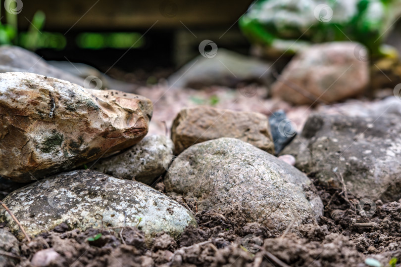 Скачать Большие камни на клумбе. фотосток Ozero