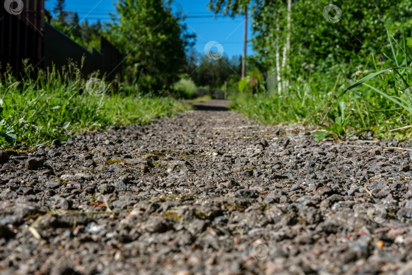 Скачать Дорожка в сад. фотосток Ozero