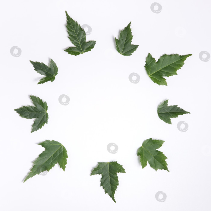 Скачать Текстурированные листья выложены по кругу. фотосток Ozero