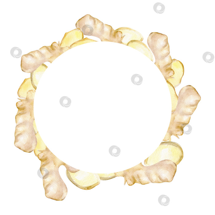 Скачать Акварельная имбирная круглая рамка. Азиатская кухня вьетнамская, китайская, тайская специя имбирь для ресторанного меню, упаковки косметики фотосток Ozero