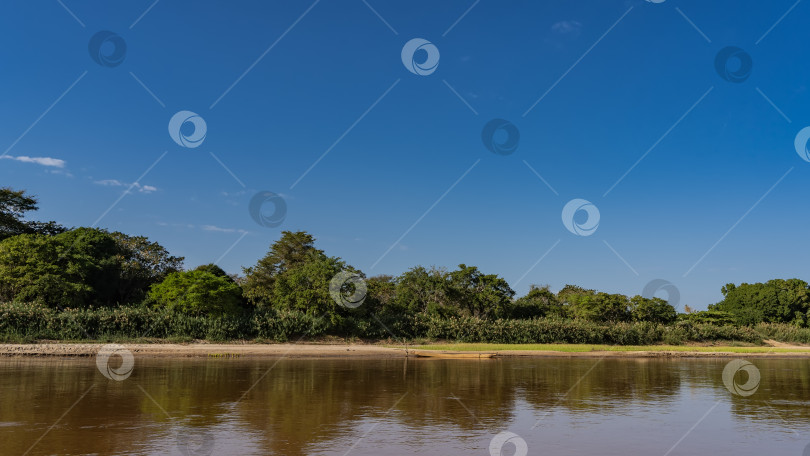 Скачать Пышная зеленая растительность произрастает на берегах спокойной реки. фотосток Ozero
