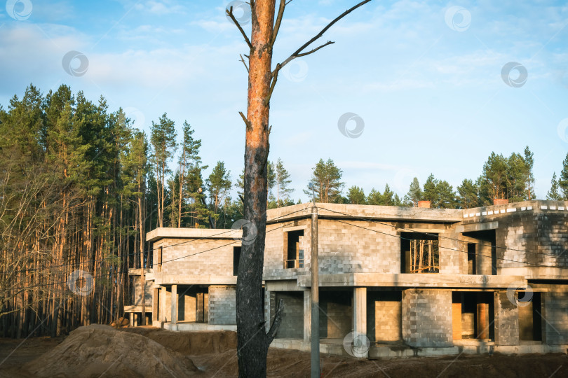 Скачать Строительство нового дома в лесу фотосток Ozero