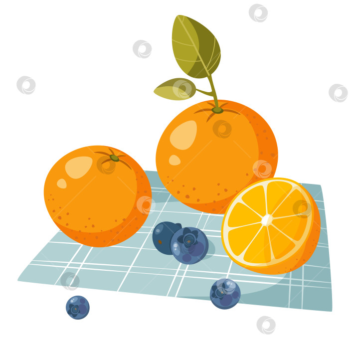 Скачать Летний натюрморт на белом фоне: фрукты и ягоды на скатерти, фрукты на полотенце, фрукты на синем клетчатом одеяле. Апельсин и черника. Скатерть в синюю клетку. фотосток Ozero