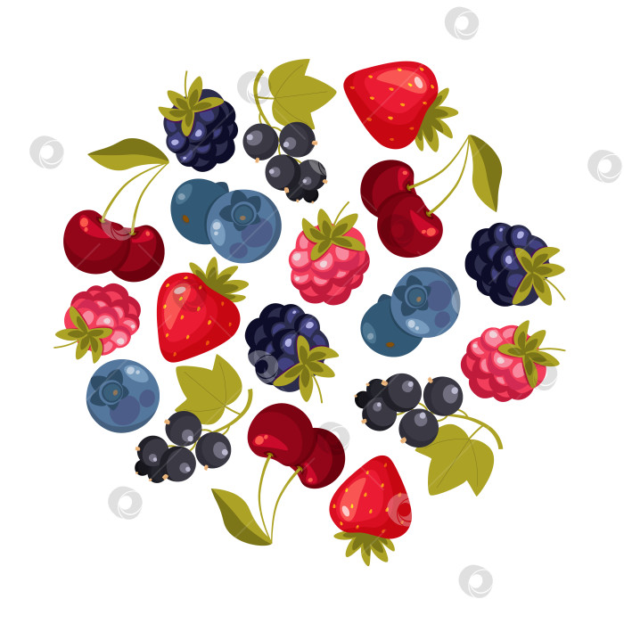 Скачать Дизайн круглой композиции ягодной ветки с векторным шаблоном Сладкой вкусной садовой культуры. фотосток Ozero