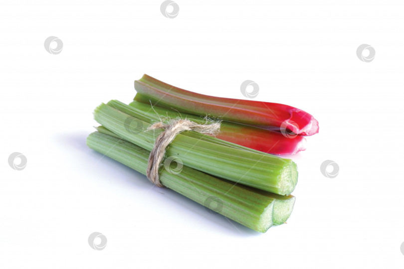 Скачать Красные и зеленые стебли ревеня фотосток Ozero