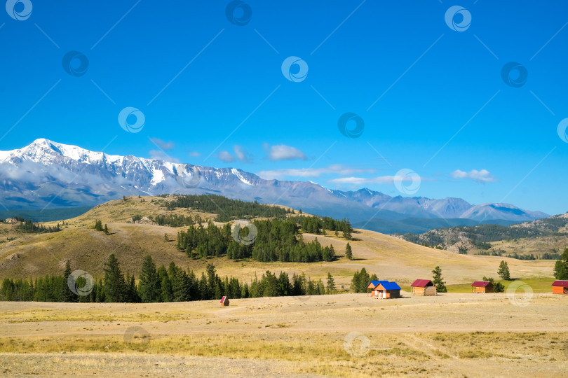 Скачать Живописный вид с залитого солнечным светом травянистого холма с дорогой на высокий горный хребет. Красивый солнечный горный пейзаж с большими снежными вершинами гор. Автомобильная поездка на Алтай. фотосток Ozero