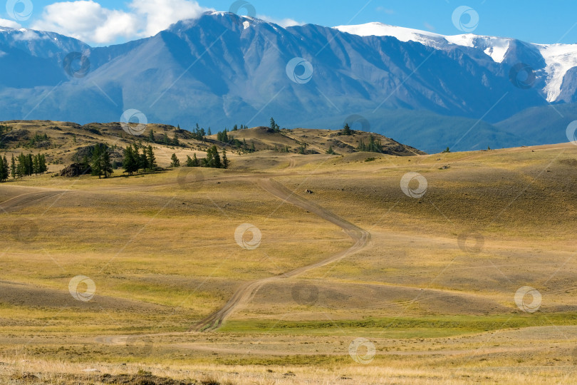 Скачать Живописный вид с залитого солнечным светом травянистого холма с дорогой на высокий горный хребет. Красивый солнечный горный пейзаж с большими снежными вершинами гор. Автомобильная поездка на Алтай. фотосток Ozero