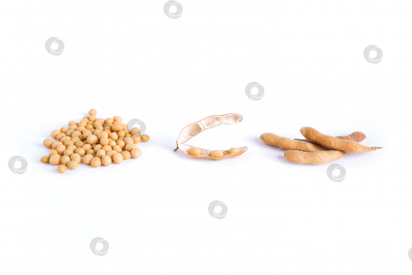 Скачать Максимальное количество глицина Соевые бобы, зерна, стручки фотосток Ozero