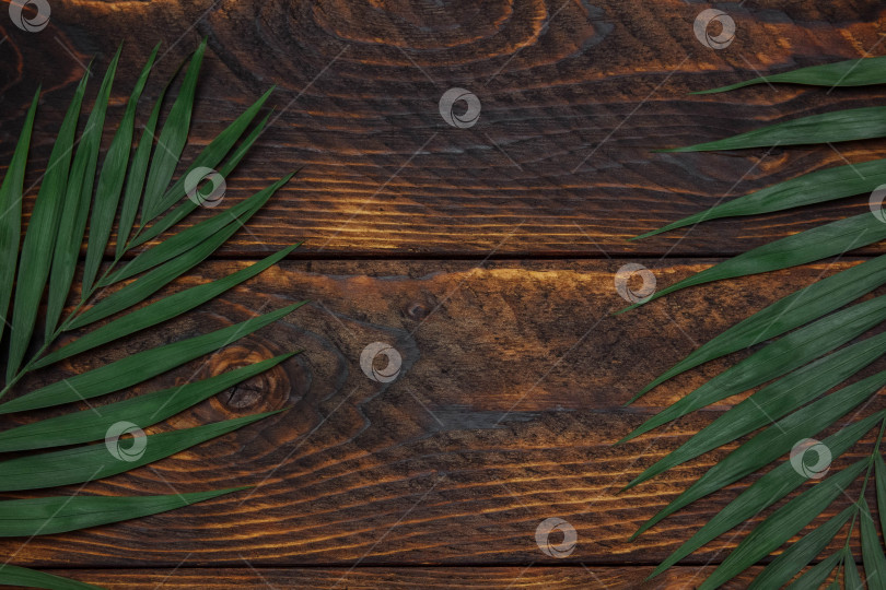 Скачать Зеленые пальмовые листья на коричневом деревянном фоне крупным планом сверху с пустым пространством для текста фотосток Ozero