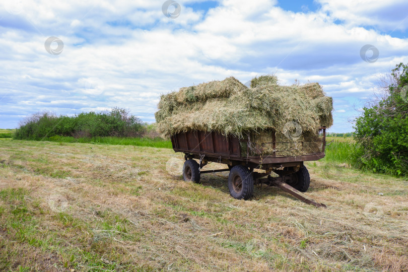 Скачать Телега с тюками сена на скошенном лугу фотосток Ozero