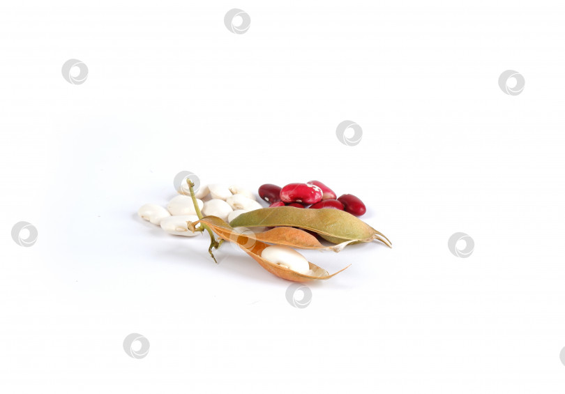 Скачать Белая и красная фасоль крупным планом фотосток Ozero