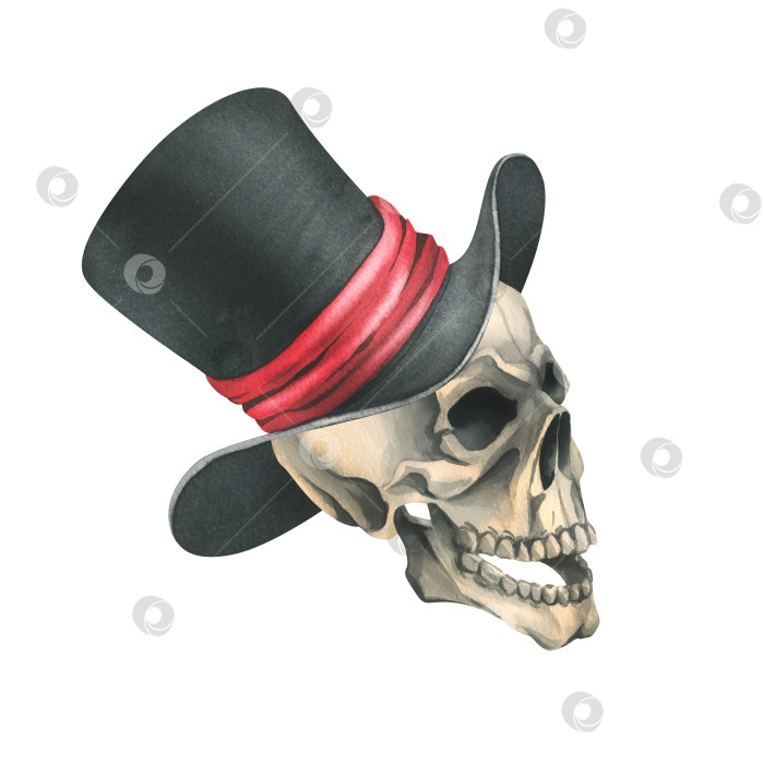 Скачать Человеческий череп в черном цилиндре с красной лентой. Нарисованная от руки акварельная иллюстрация ко дню мертвых, Хэллоуину, Диа-де-лос-муэртос. Изолированный объект на белом фоне фотосток Ozero