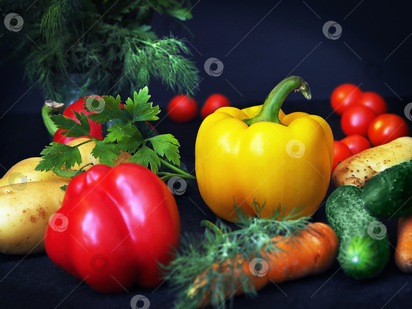 Скачать Сбор урожая свежих овощей. Овощи на черном фоне фотосток Ozero