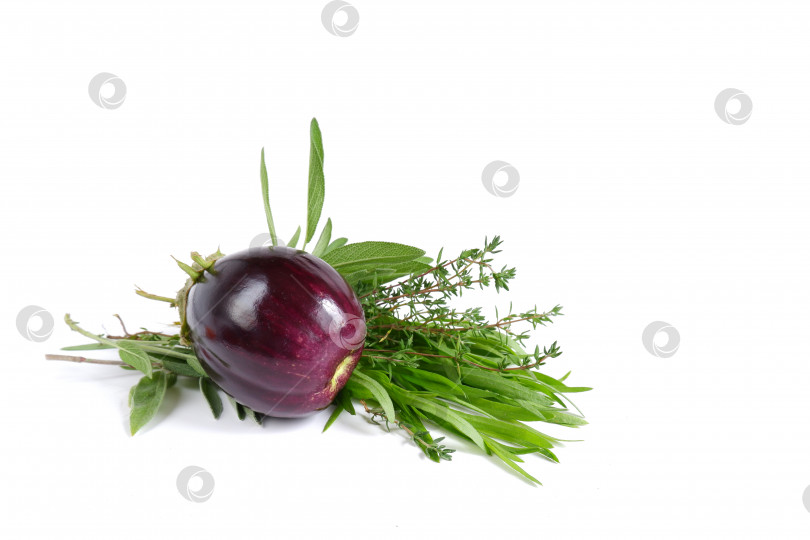 Скачать Фиолетовый баклажан, пряные травы шалфей, тимьян, эстрагон фотосток Ozero