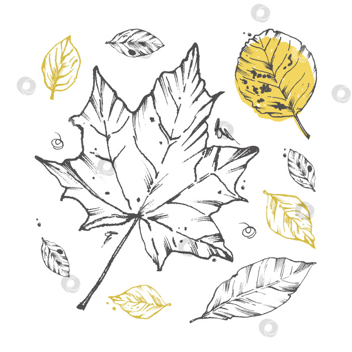 Скачать Набор абстрактных осенних листьев. Векторная иллюстрация сухих, опавших листьев. Минимализм. Для оформления открыток, текстиля, открыток-визиток, приглашений, плакатов фотосток Ozero