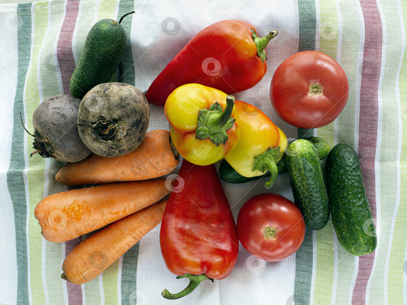 Скачать Готовьте свежие овощи к своему столу фотосток Ozero