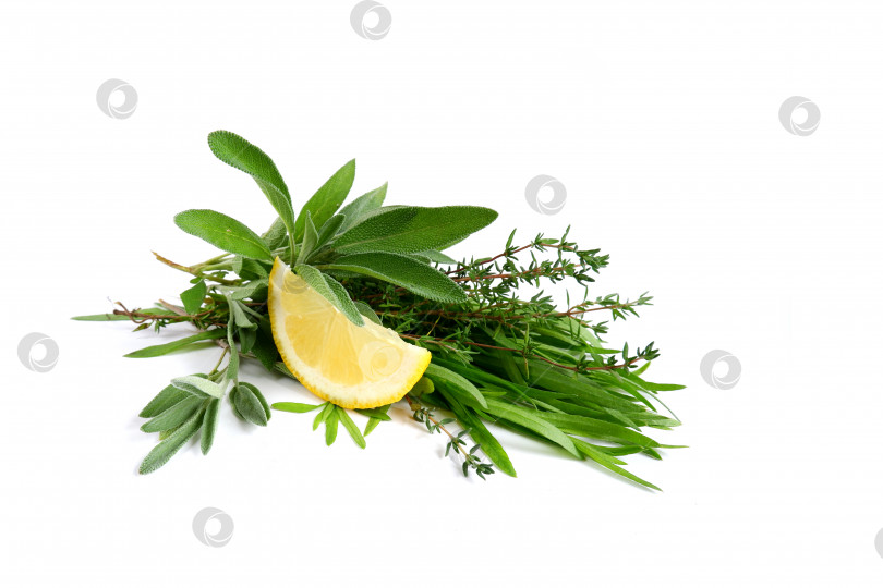 Скачать Пряные травы и ломтик лимона фотосток Ozero
