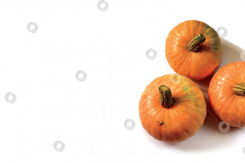 Скачать Баннер с тремя оранжевыми тыквами фотосток Ozero