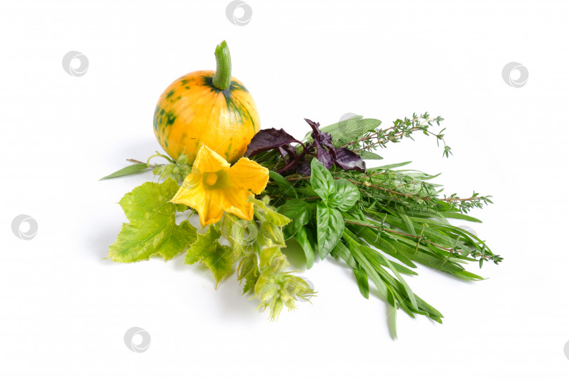 Скачать Желтая тыква с цветами, листьями и бутонами и пряными травами фотосток Ozero