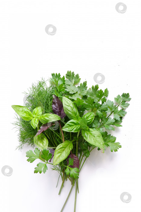 Скачать Пучок пряных трав. фотосток Ozero