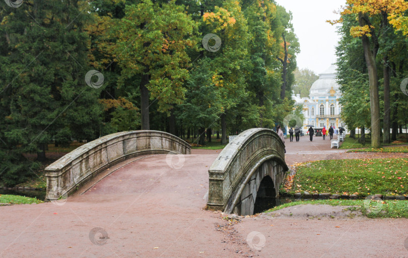 Скачать Мост в парке. фотосток Ozero