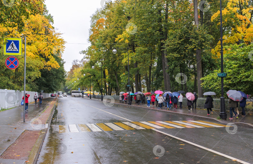 Скачать Группа туристов под зонтиками. фотосток Ozero