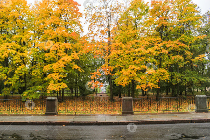 Скачать Осень в парке. фотосток Ozero