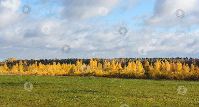 Скачать Деревенский осенний пейзаж. фотосток Ozero