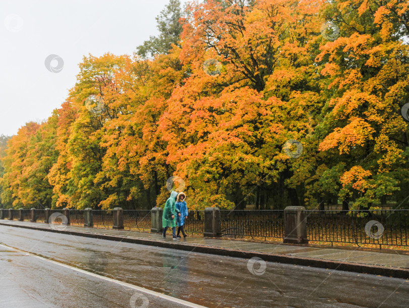 Скачать Дождливый осенний день. фотосток Ozero