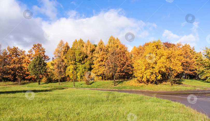 Скачать Осенние краски природы. фотосток Ozero