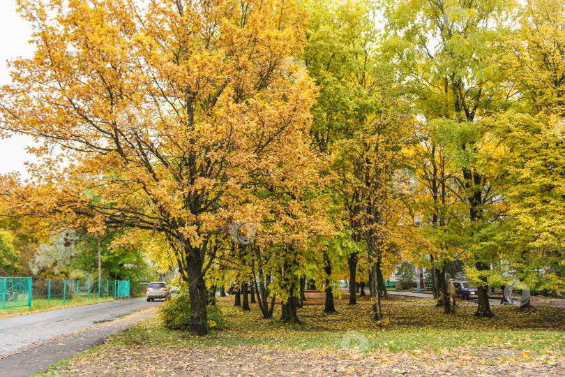 Скачать Городская осенняя площадь. фотосток Ozero