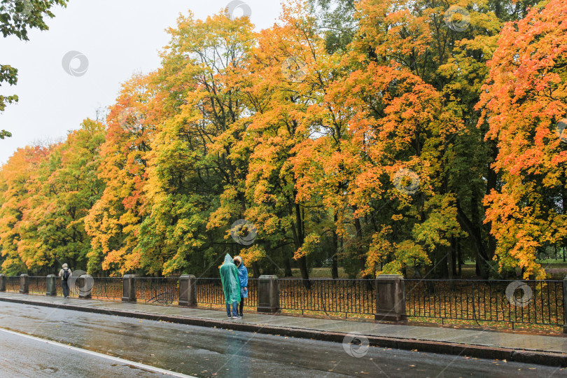 Скачать Люди в дождевиках возле парка. фотосток Ozero