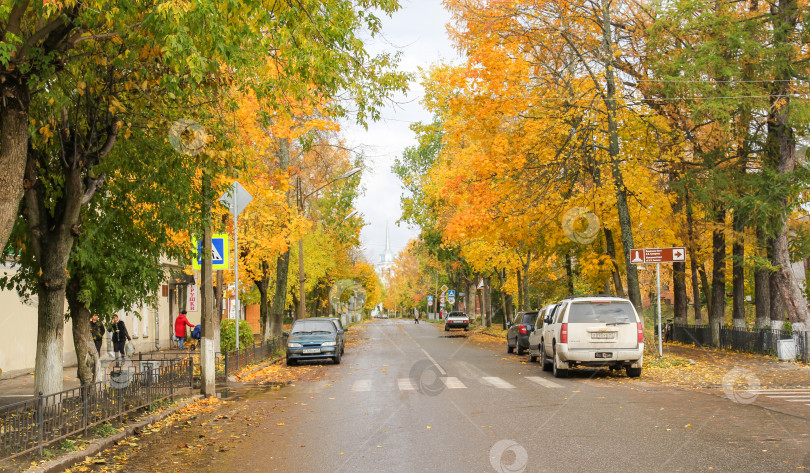 Скачать Осенние деревья вдоль улицы. фотосток Ozero